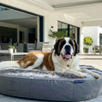 XXL Rebound Foam Mattress Dog Bed - Interior/Outdoor