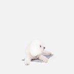 Small ThermoCool Multi-Purpose Dog Mat
