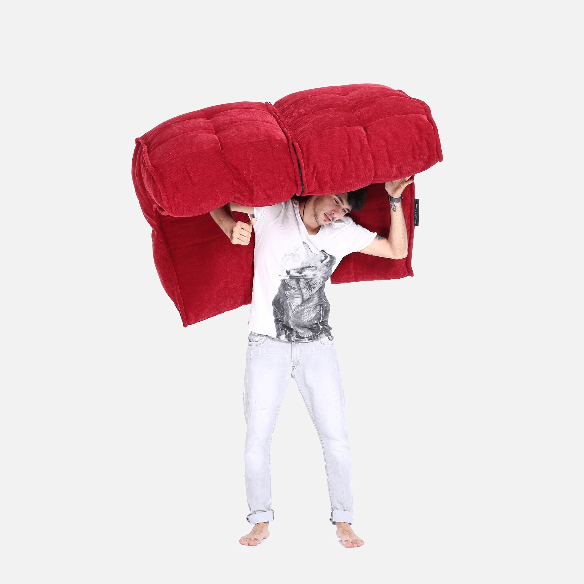 Twin Couch - Interior