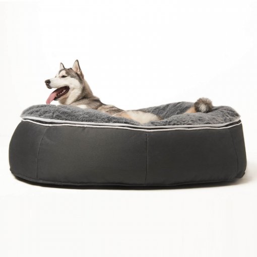 Extra large pet bed with husky