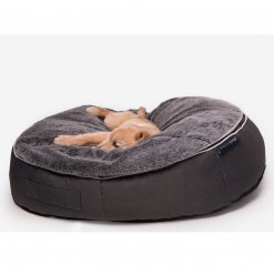 Small medium pet bed with dog