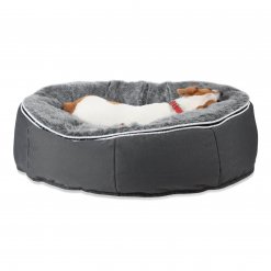 Small medium pet lounger with jack russel back view