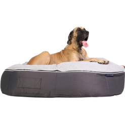 xxl-luxury-indoor-outdoor-dog-bed-thermoquilt